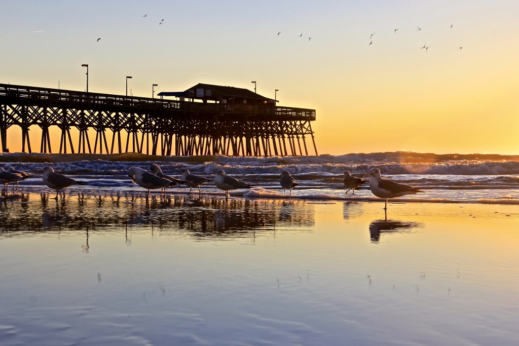 myrtle-beach-sc-images-of-the-grand-strand-grand-strand-magazine